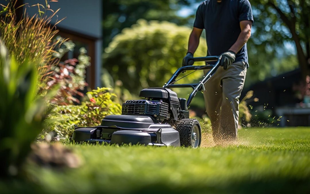 Pourquoi faire appel à un paysagiste pour sublimer votre espace extérieur ?