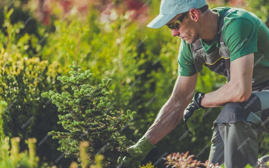 Quelles sont les travaux d’un paysagiste professionnel ?